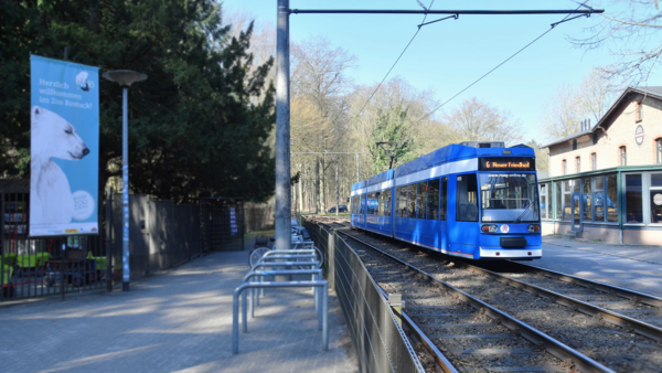 Geplante neue Straßenbahnstrecke vom Zoo nach Reutershagen: So geht es weiter Geplante neue Straßenbahnstrecke vom Zoo nach Reutershagen: So geht es weiter